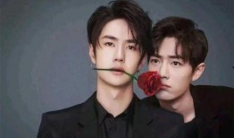 娱乐圈内人爆料博君一肖,娱乐圈内独家爆料，揭秘这对明星的神秘关系