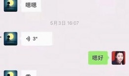 吃瓜文件和聊天记录网红,吃瓜文件与聊天记录背后的真相